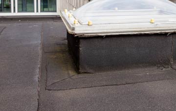 disadvantages of Halton Lea Gate flat roofs